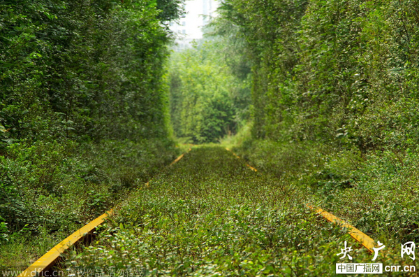 西安冶金厂老厂区的小清新铁路，绿色的隐秘世界。