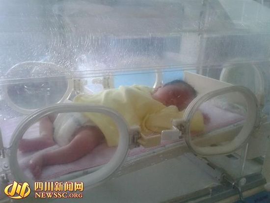 入睡的小男婴 入睡的小男婴