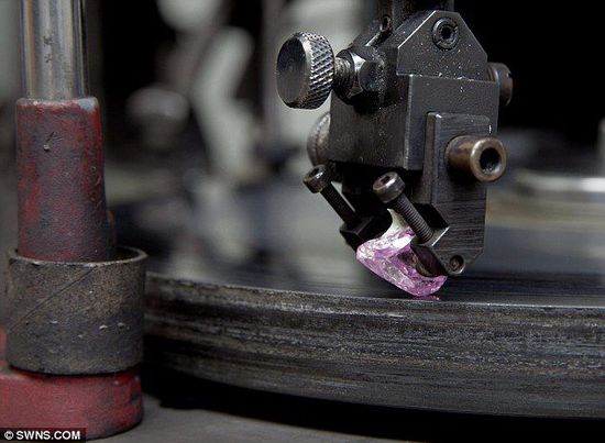 耀眼的粉红色 耀眼的粉红色