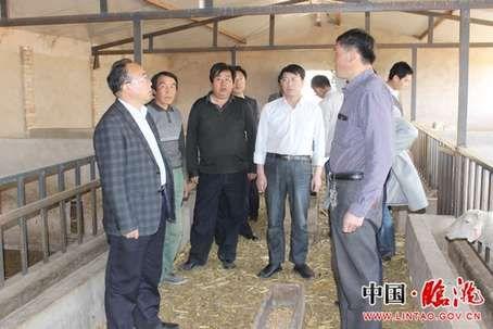 柴生芳生前下乡检查工作  柴生芳生前下乡检查工作