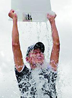 2261981416 2261981416