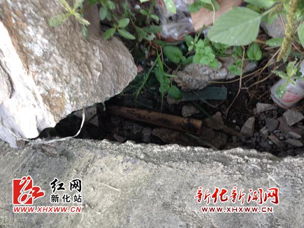 藏匿于资江河边的凶器之二铁锤   藏匿于资江河边的凶器之二铁锤