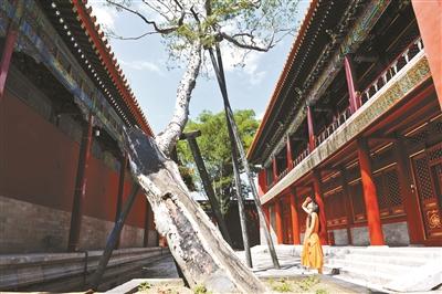 慈宁宫花园里的咸若馆 慈宁宫花园里的咸若馆