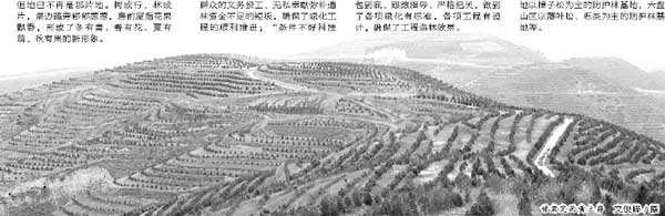 甘肃定西黄土峁 文俊峰 摄