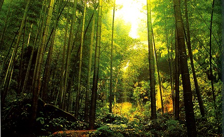 1410281810932 1410281810932