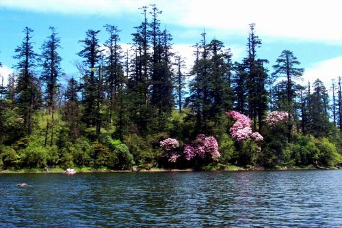 1410281803295 1410281803295