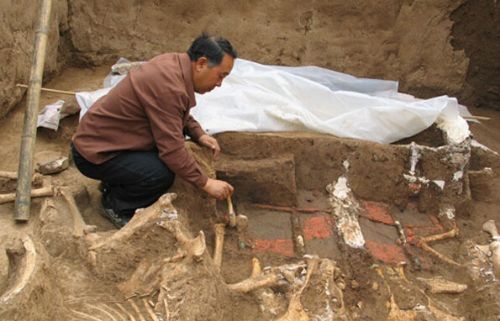 201491084826jpg62715 201491084826jpg62715