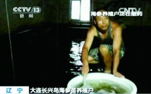 养殖户正在撒药 养殖户正在撒药