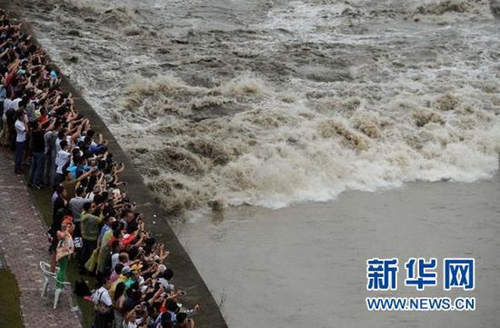 钱塘江大潮5 钱塘江大潮5