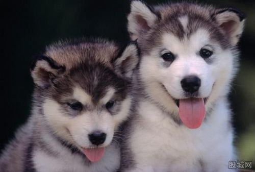 201491312131jpg63708 201491312131jpg63708