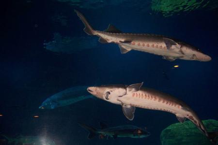 u=1796487087,505450780&fm=23&gp=0 u=1796487087,505450780&fm=23&gp=0