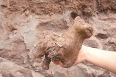 出土的陶狗 (图由隆昌县文物部门提供) 出土的陶狗 (图由隆昌县文物部门提供)