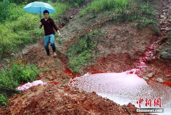 图为2014年9月15日，河南洛阳汝阳县马兰河因为污染变成一条“红河”，“红水”顺着山坡一直流到山下，而“红水”的源头正是附近一山顶的染料厂残留处理池。图为洛阳连下几日雨，被涂料厂染红的雨水聚集，变成鲜红的污水滩