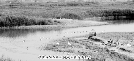 C2014-09-23zx301_P_1_391_1158_1097_1484 C2014-09-23zx301_P_1_391_1158_1097_1484