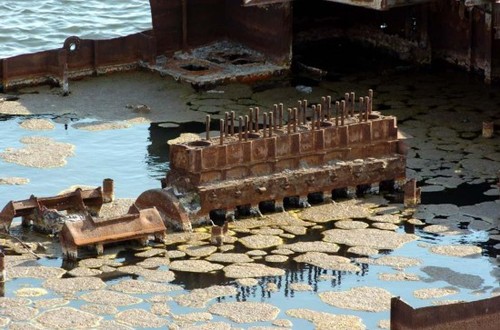 沙尘暴和多年来流入河流的农用化学品物质是周边的居民区受到了严重的污染，生态环境越来越差。图中为一艘船的引擎泡在咸海的湖水中。