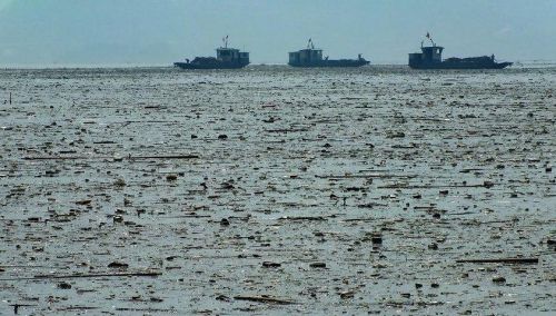 三峡水库垃圾带 三峡水库垃圾带