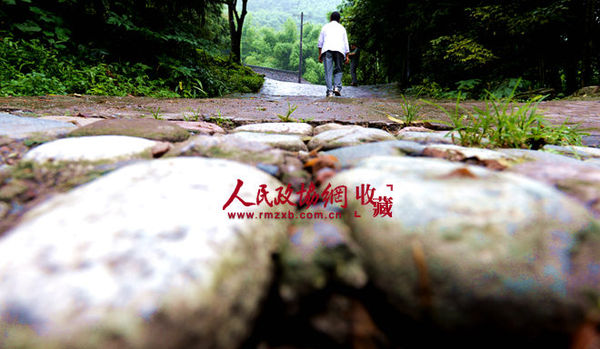 C20141013004-zx3_副本 C20141013004-zx3_副本