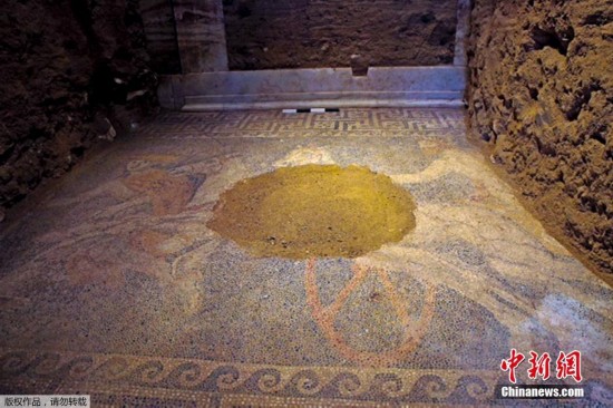 13225010337779890450 13225010337779890450