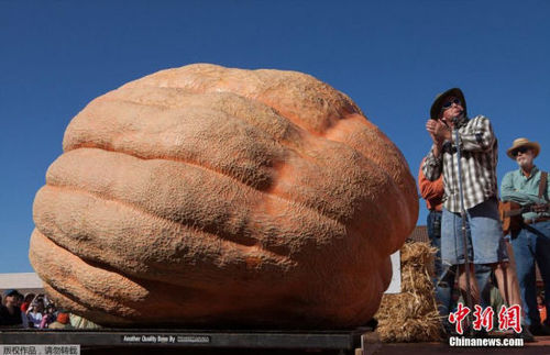 BD4161585DE46FCED747D0C4E19C7417 BD4161585DE46FCED747D0C4E19C7417