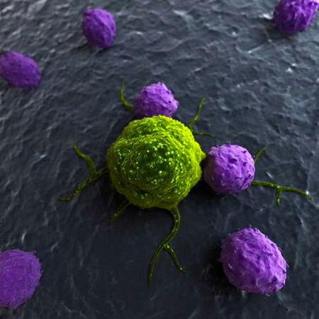 天然病毒m1可特异杀死癌细胞-对正常细胞无毒副作用2 天然病毒m1可特异杀死癌细胞-对正常细胞无毒副作用2