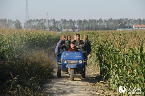 MAIN201410141916000023104841989 MAIN201410141916000023104841989