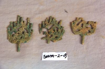 出土的青铜发簪 出土的青铜发簪