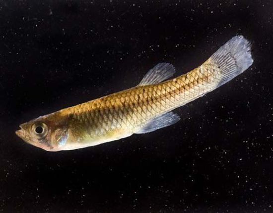 DD2DA9FD51AFB8409D58DF77B6AB1F92 DD2DA9FD51AFB8409D58DF77B6AB1F92