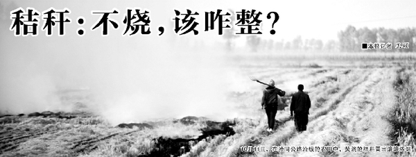 10月11日，在哈同公路沿线的农田中，焚烧的秸秆冒出滚滚浓烟。