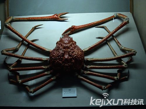 20141016113538jpg53389 20141016113538jpg53389