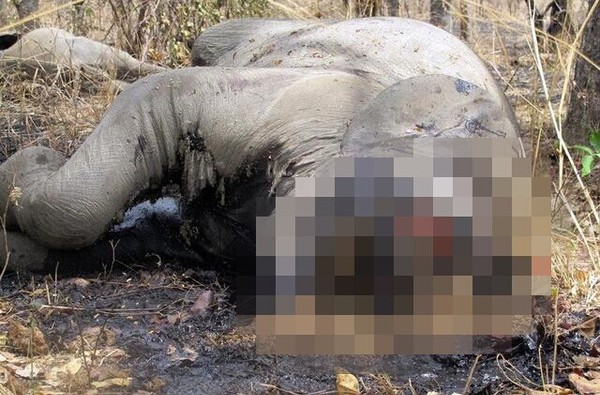 QQ图片20141020141856