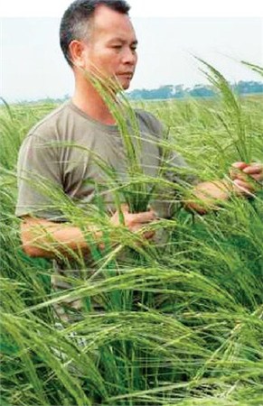 635494296957169594 635494296957169594