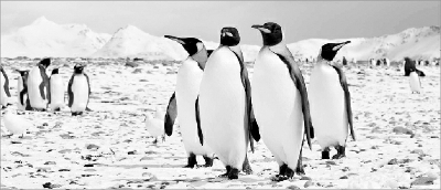 C2014-10-23zx901_P_1_1451_2646_2077_2915 C2014-10-23zx901_P_1_1451_2646_2077_2915