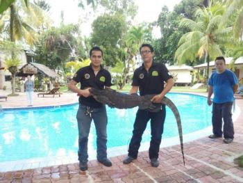 1112951037_14140519308431n 1112951037_14140519308431n