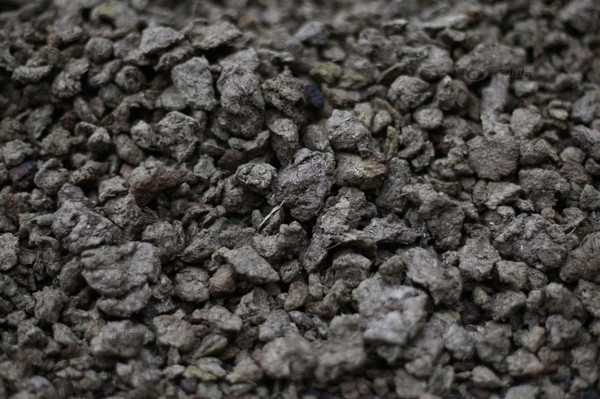 这是村民采集来的新鲜牛羊粪。村民将晒干的牛粪磨成粉末冲水服用，称可治疗癌症等疾病。