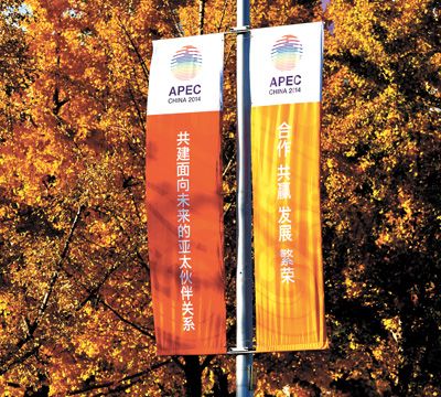 13365449771626814458 13365449771626814458