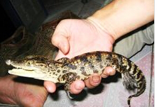 QQ截图20141109113151 QQ截图20141109113151