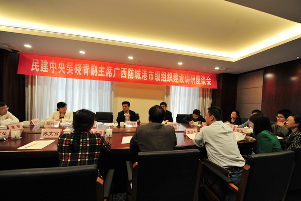 W020141112520224950733 W020141112520224950733