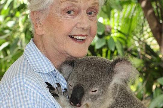 澳大利亚昆州训练考拉拥抱G20峰会领导人(图片来源:澳洲媒体) 澳大利亚昆州训练考拉拥抱G20峰会领导人(图片来源:澳洲媒体)