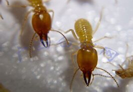 QQ截图20141114175024 QQ截图20141114175024