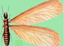 QQ截图20141114175035 QQ截图20141114175035