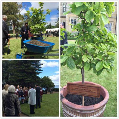 跟习大大出访:如何请到习大大彭妈妈来做客