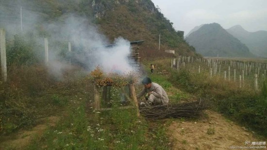 火熏治疗2 火熏治疗2