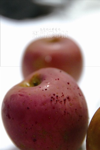 6536036_924183 6536036_924183