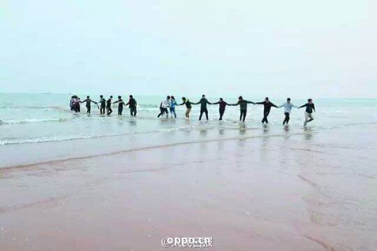 秦皇岛18名大学生手挽手冲进大海救出女子 秦皇岛18名大学生手挽手冲进大海救出女子