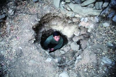 4166893788 4166893788