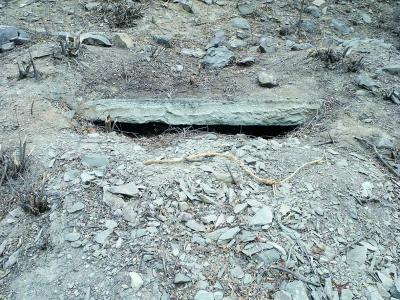 1381430015 1381430015