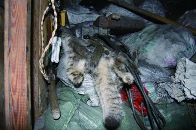 1201540524 1201540524