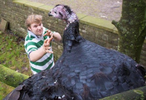 W020141221512958596503 W020141221512958596503