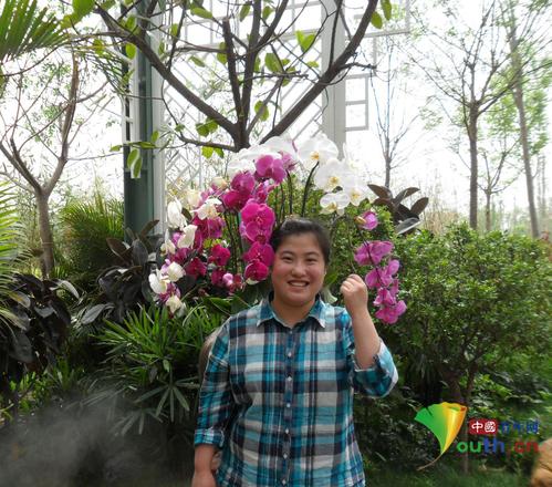 W020141221573495562384 W020141221573495562384