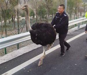 20141223045649cacac 20141223045649cacac